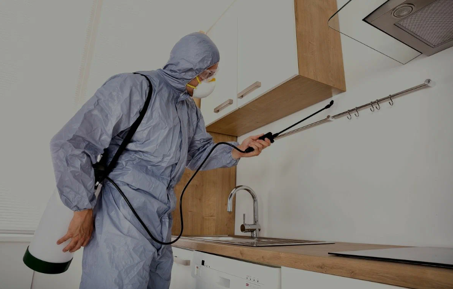 La Mesa pest managment